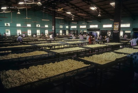 Government Cocoon Market at Ramanagaram