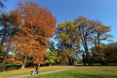 Palace gardens