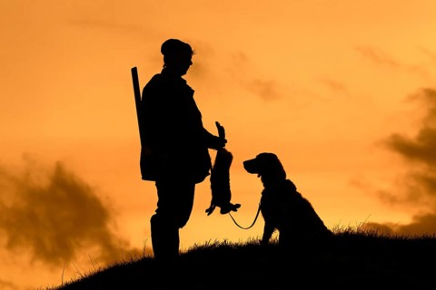 Hunter with dead brown hare and Weimaraner hound silhouetted against the evening sky