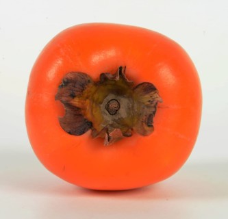 Persimmon