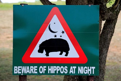 Traffc sign