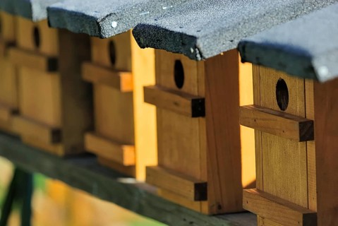 Bird nesting boxes