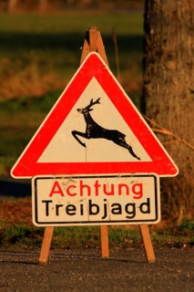 Driven hunt