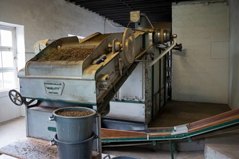 Tea Factory