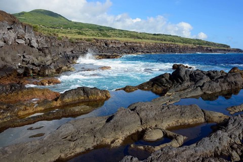Coast at the harbour