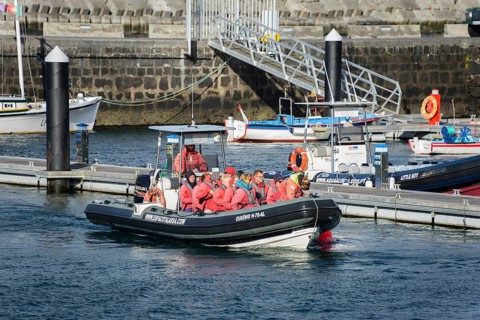Whale watching boat