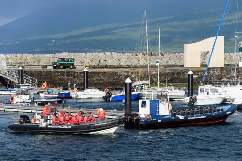 Whale watching boat