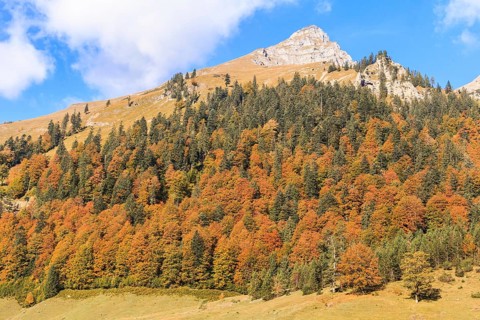 Karwendel