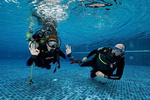Disabled Diver with Instructor