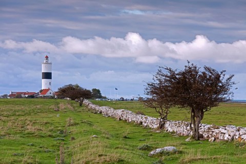 Lighthouse Lange Jan
