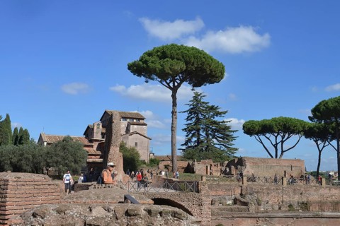 Excavations