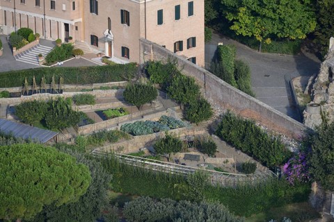 Kitchen garden