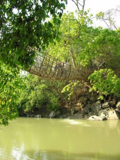 Bamboo bridge in Malawi