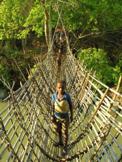 Bamboo bridge in Malawi