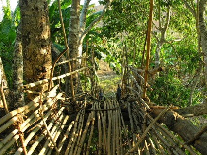 Bamboo bridge in Malawi