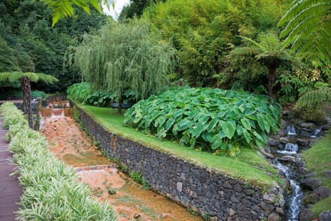 Hot Springs