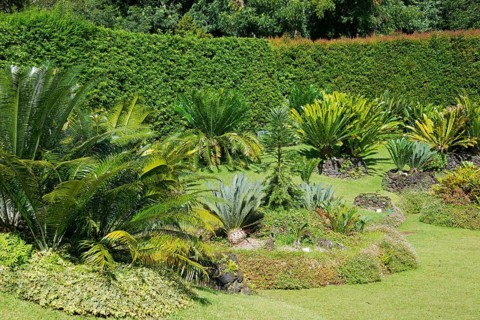Terra Nostra Park