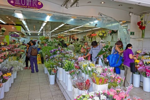 Wholesale Flower Shop