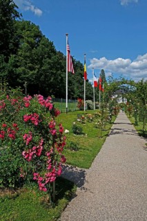 Rose garden