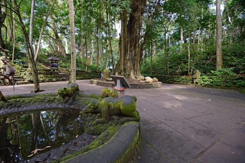 Main square in the monkey forest
