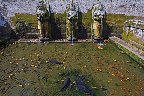 Water basin with gargoyles and fish