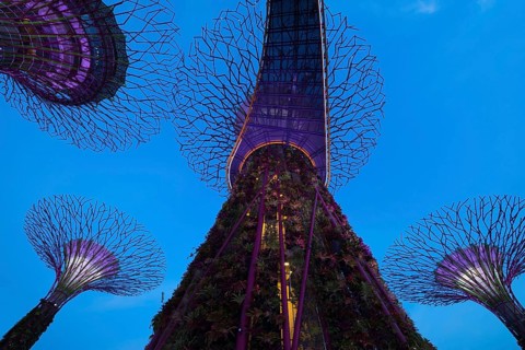 Gardens by the Bay