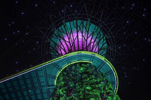 Gardens by the Bay