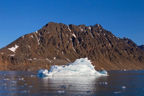 Ice floe calved from the Lilliehoeoekbreen glacier floating in Lilliehoeoekfjorden