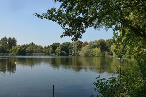 Schaefersee