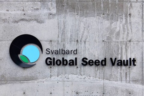 Logo of the Svalbard Global Seed Vault