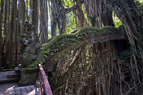Stone Bridge