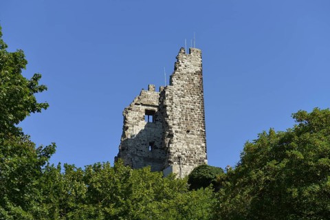 Drachenfels Castle