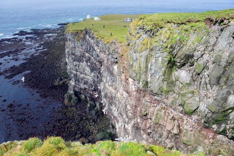 Bird Rock