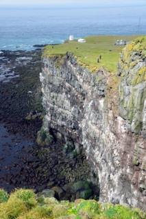 Bird Rock