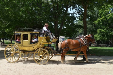 Horse-drawn carriage