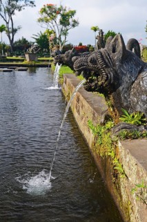 Water features and water basins in the Tirta Gangga water temple