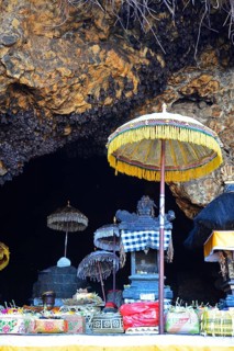 Bats in a cave
