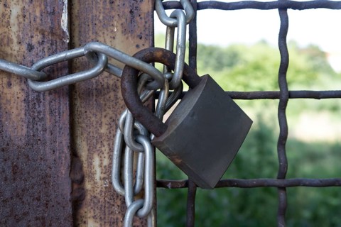 Padlock on a lattice fence