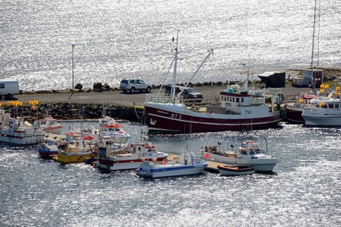 Harbour