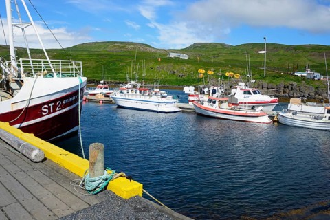 Harbour