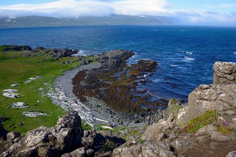 Landscape near Bjarnarnes
