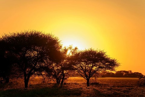 Sunrise