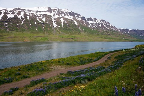 Fjord Seydisfjordur