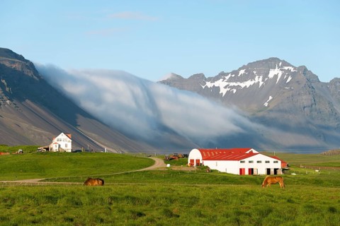 Farm