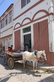 Donkey cart