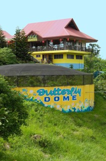 Chocolate Hills viewing platform