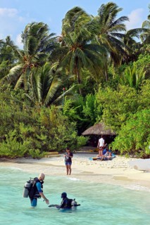 Maldives Island Beach Diver
