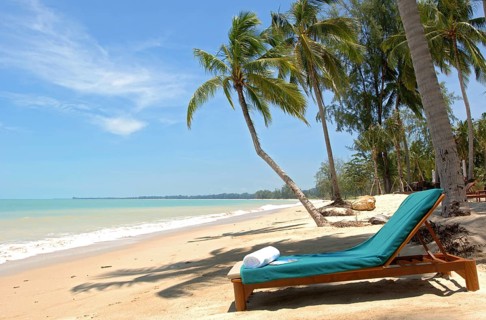 Beach lounger under palm trees by the sea