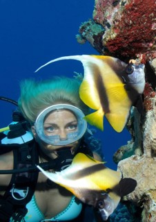 Diver and longfin bannerfish