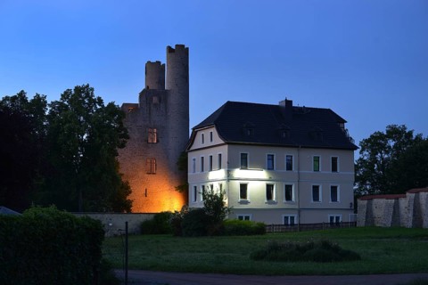 Hoher Schwarm Castle Ruin